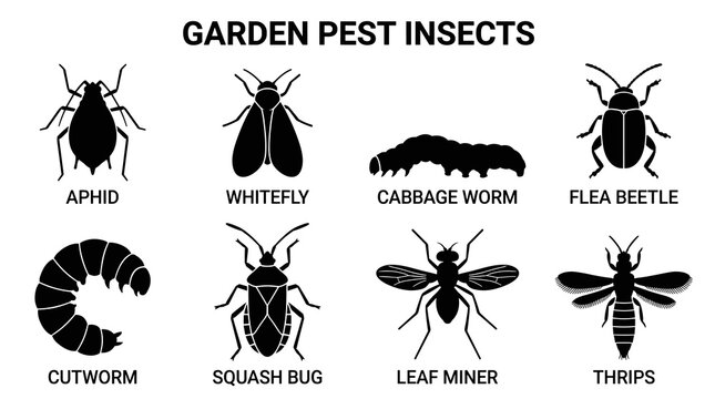 Garden Pest Insects Vector Silhouette Icon Set with Minimal Flat Agricultural Design