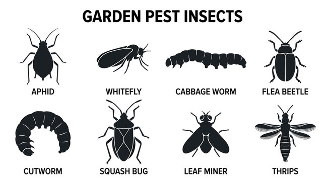 Garden Pest Insect Vector Icon Collection in Minimal Black Silhouette Flat Style