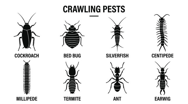 Minimal Crawling Pest Vector Icon Set with Black Monochrome Invertebrate Silhouettes for Identification