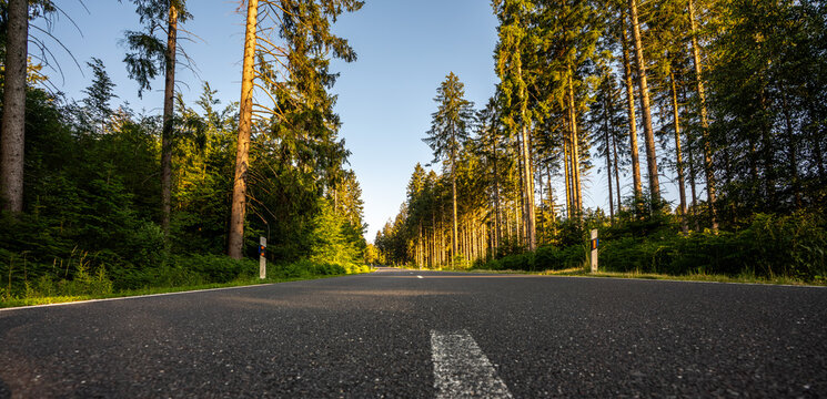 highway into Silent Forest in spring with beautiful bright sun rays