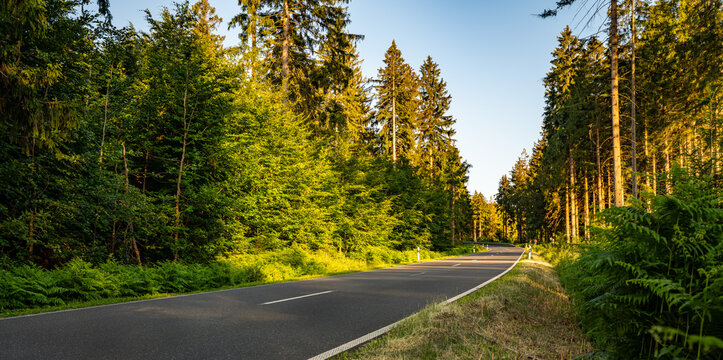 highway into Silent Forest in spring with beautiful bright sun rays