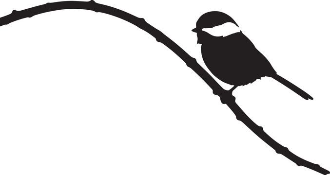 Black-capped Chickadee silhouette collection vector bird wildlife design.