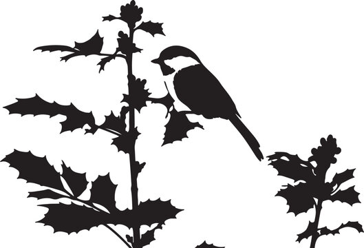 Black-capped Chickadee silhouette collection vector bird wildlife design.