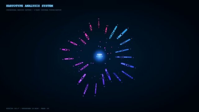 This futuristic interface displaying bioinformatics genome analysis shows chromosomes rotating in a radial pattern within a digital medical research environment for genetic studies.