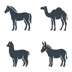 Obraz premium Horse camel llama donkey animal silhouettes.