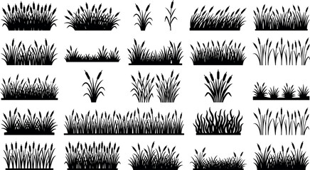 Wetland cattails and marsh grass silhouette borders vector collection for nature pond landscape design © Shaharia Shaharia
