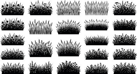 Wild meadow grass and flower silhouette borders collection for nature landscape design in image_3c874f.png © Shaharia Shaharia
