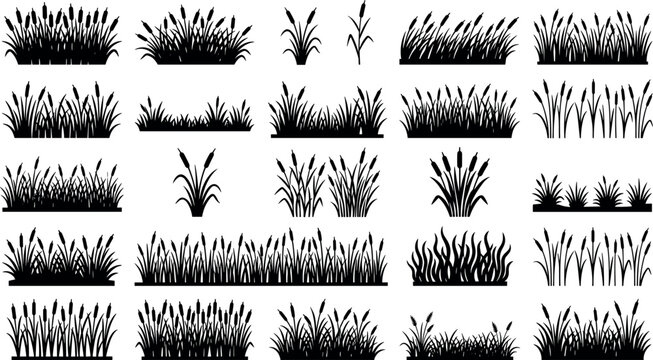 Wetland cattails and marsh grass silhouette borders vector collection for nature pond landscape design