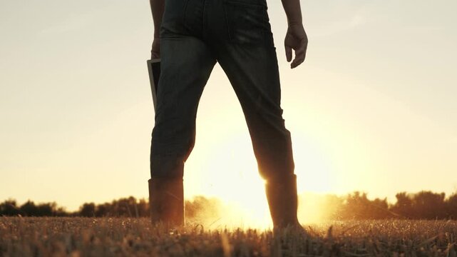 Farmer walking through wheat field in rubber boots, , agriculture, wheat field business strategies, farmer s path to prosperity, the wheat harvest legacy, wheat fields and economic growth, morning