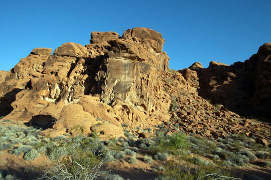 Red Aztec sandstone formations and native desert plants at Valley of Fire State Park in Nevada