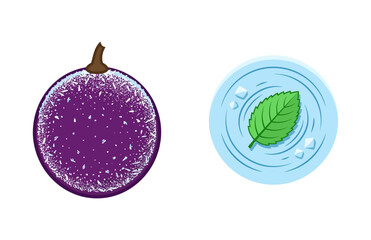 Fresh Frozen Passion Fruit Beside A Mint Leaf In A Refreshing Water Ripple Icon Set © Zseoo Studio
