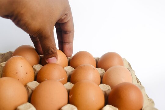 Extreme close up macro photography of a male hand lifting a fresh chicken egg from a cardboard carton container.