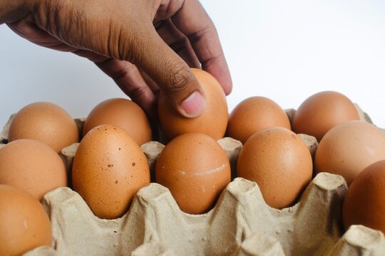 Macro shot of a person picking a brown egg out of a paper pulp carton tray against white background.