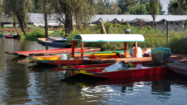 Small, colorful boats moored in a canal at Xochimilco, in Mexico City, Mexico