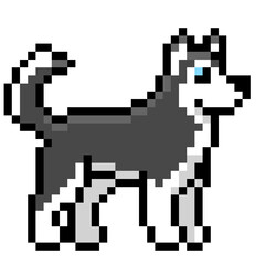 Siberian husky dog standing pose vector illustration in simple pixel art style © Mukhamat