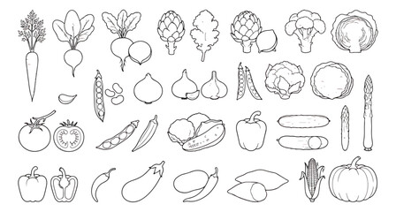 Fototapeta premium Minimalist vegetable line art icons, hand drawn garden produce vector set, black and white organic food illustrations for healthy menu design
