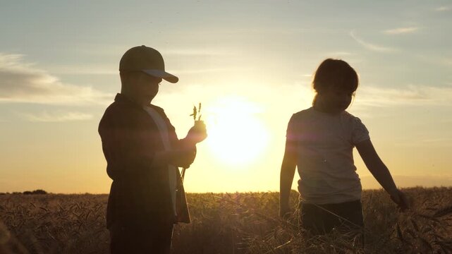 Children wheat field sunset, golden hour countryside scene, boy girl siblings enjoying nature, summer evening farm landscape, childhood memories countryside, kid exploring wheat harvest, peaceful