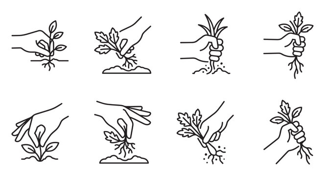 Gardening hands planting and transplanting seedlings and small plants.