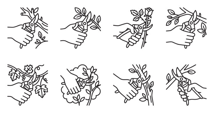 Gardening hand pruning tools for plants and bushes with detailed illustrations.