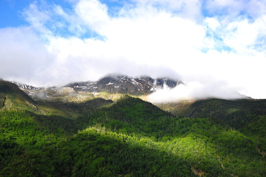 Beautiful mountain range covered with greenery and surrounded by clouds in Tibet, China