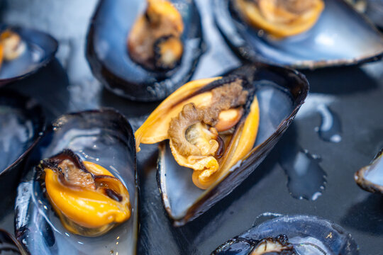Steamed black mussel with juicy yellow meat in an open glossy shell served on a dark surface for an elegant seafood starter