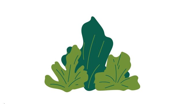 Hand drawn green shrub bushes flat vector illustration icon isolated on white background
