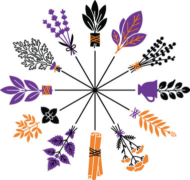 Halloween witch herbal wheel chart vector with cute purple orange black spooky botanical bouquets lavender and cinnamon sticks isolated on white