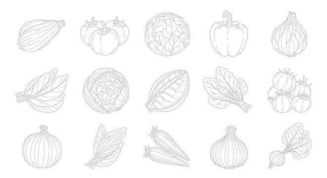 Variety of leafy green vegetable illustrations.
