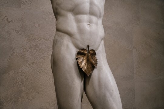 Classical marble sculpture of a male torso with bronze leaf covering.