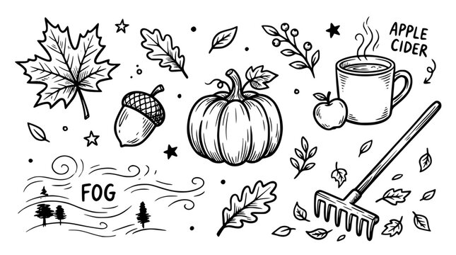 Hand drawn autumn season elements maple leaf acorn pumpkin apple cider rake fog, black ink sketch vector illustration
