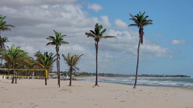 Coconut Palm Trees Along Empty Beach, Northeast Brazil