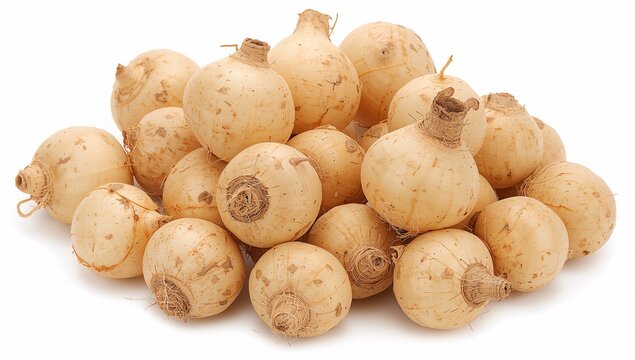 Pile of Raw Salsify Roots Isolated PNG &ndash; Fresh Uncooked Root Vegetables on Transparent Background