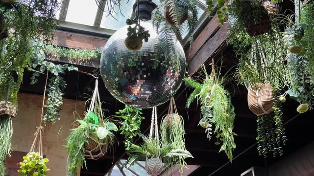 Large mirror ball and hanging plants under skylight in lush indoor bar setting