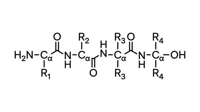 Chemical structure of a peptide chain with amino acid side chains.