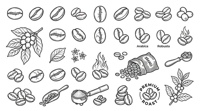 Coffee Beans and Plant Elements - Hand-Drawn Sketch Collection
