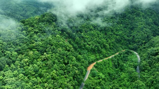 Aerial drone view of a winding mountain road partially blocked by a landslide after heavy rainfall. Dense tropical rainforest surrounds damaged infrastructure, illustrating natural disasters, climate 