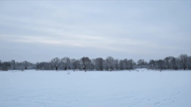 Winter landscape snow field tree line cold sky nature background serene tranquil horizon frost white scenic rural park countryside quiet peaceful outdoor wilderness frosty weather wide minimal calm