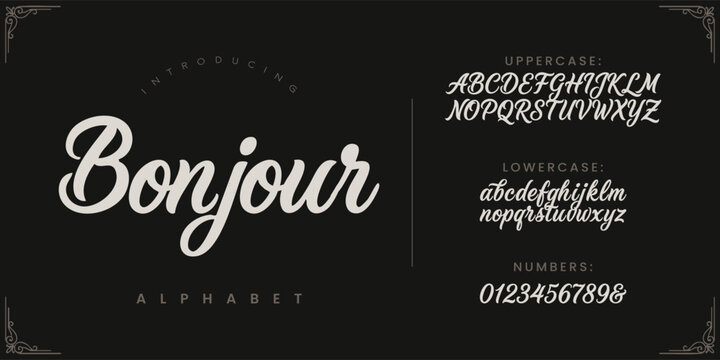 Bonjour playful handwritten script font for cute children illustration and friendly creative branding design