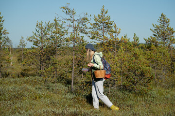 Fototapeta premium Foraging edible roots and mushrooms in wild forest, woman gatherer exploring swamp woodlands, searching for bog cranberries, picking up healthy plants, female walking through meadow with basket.
