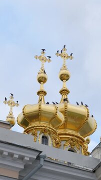 Large gathering of hooded crows on domes of church in town, wild birds fly over roof and sitting on crosses preparing for night rest, ornithology and birdwatching, behavior of corvids in urban city.