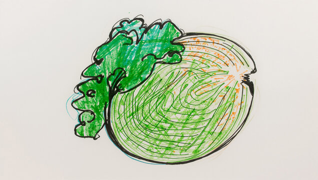 葉っぱが何重にも重なっている、大きくて丸いキャベツの子供の落書き風イラスト