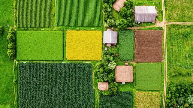 Sustainable agriculture practices enhancing food security on a thriving diverse crop farm