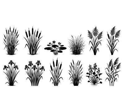 Wild Grass And Plant Silhouette Set