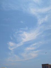 Fototapeta premium White Clouds and An Eagle Over the Rooftop 