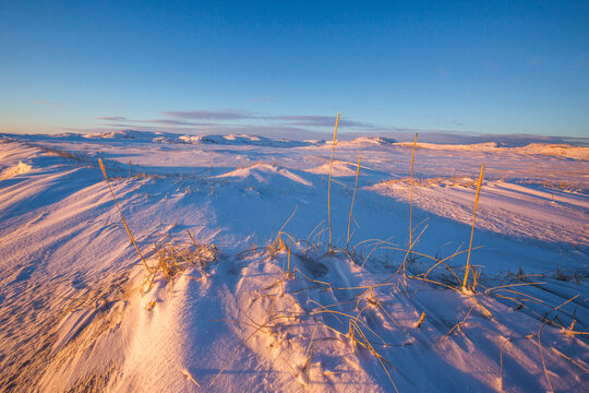 Snow desert. Kola Peninsula winter landscape