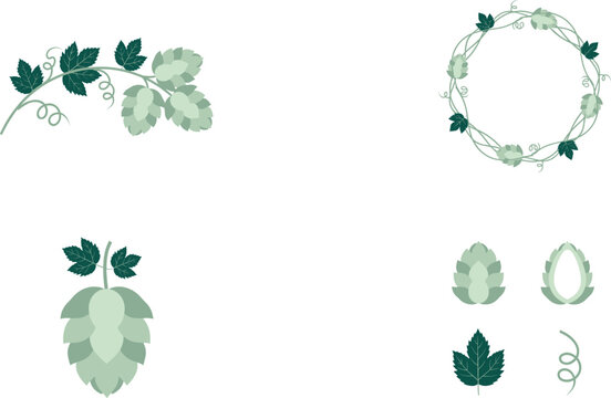 Green Hops Branch and Plant Element Set Featuring Beer Brewing Ingredients Leafy Vine Garlands Circular Wreath Border and Isolated Hop Cones