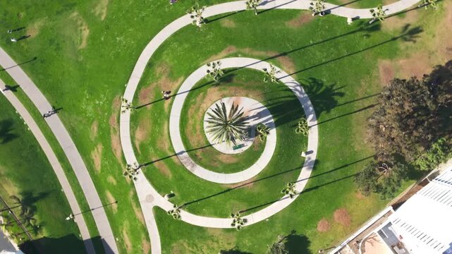 Aerial drone footage captures stunning spiral walking path design in Santa Monica California USA park with central palm tree casting long shadows on green grass lawn and curved concrete pathways.
