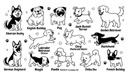 Happy Puppy Character Pack with Cartoon Dog Breeds in Cute Playful Poses © Rashel12