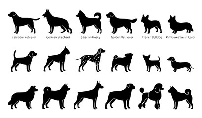 Domestic Dog Silhouette Pack with Popular Breed Vector Icons and Pet Animal Collection © Rashel12