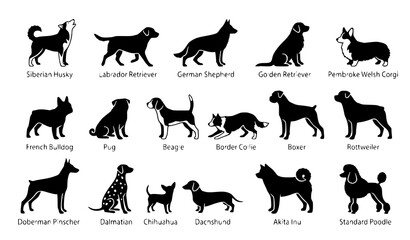 Dog Breed Silhouette Icon Set with Popular Canine Vector Illustrations © Rashel12